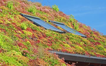 Westgate On Sea living roof systems