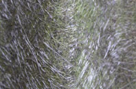 Westgate On Sea fibreglass roof work